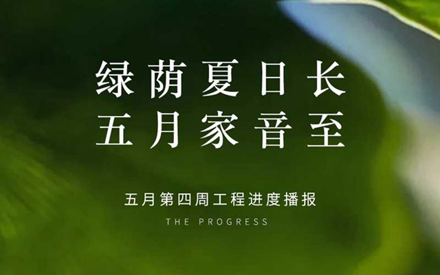 大美臻園五月第四周工程進度播報