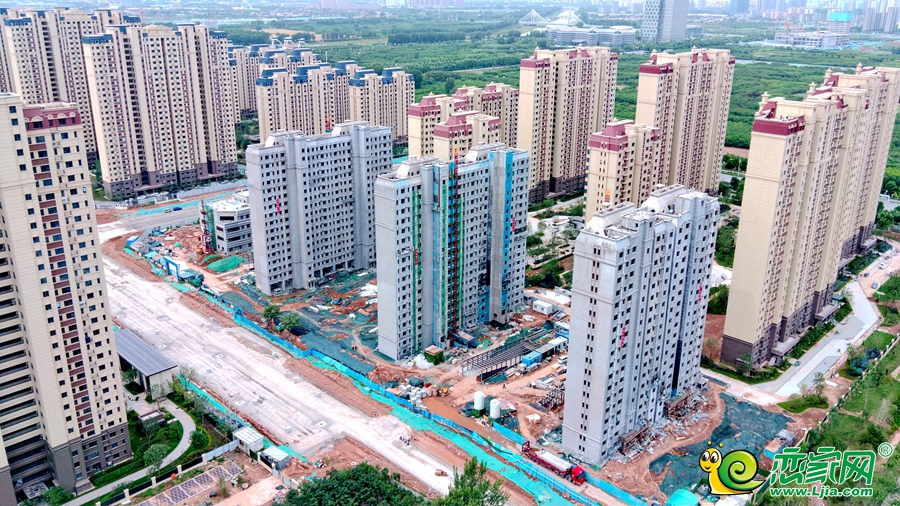 春華秋實(shí)實(shí)景（2023.06.02）