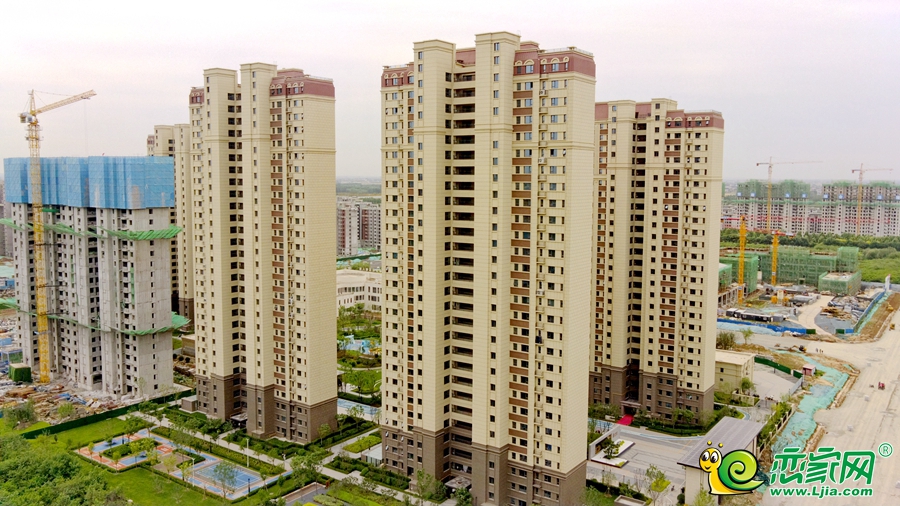 春華秋實(shí)實(shí)景（2023.06.02）