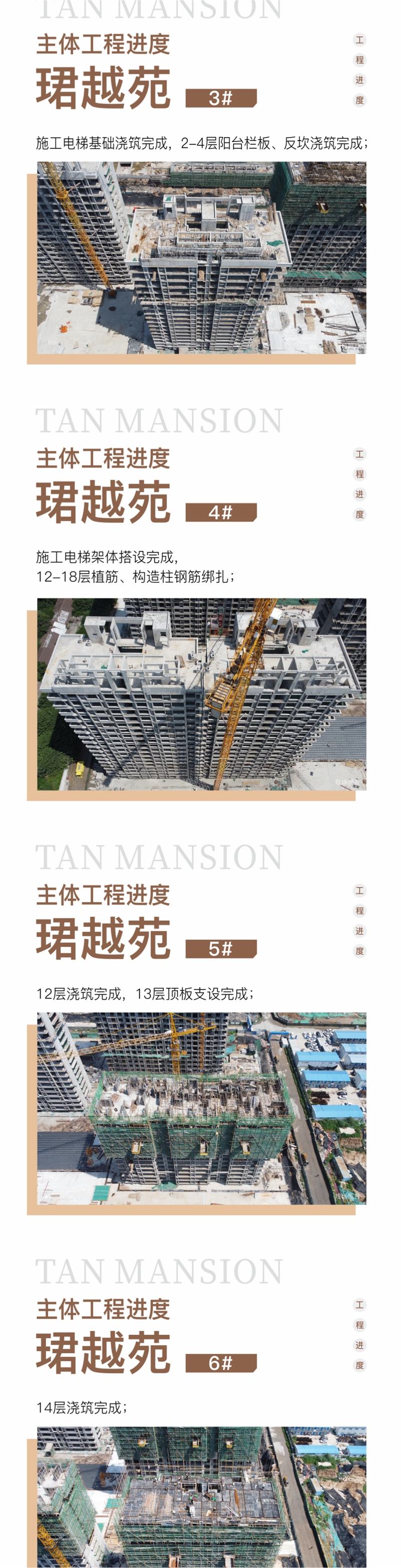 邯鄲紅星檀樾六月家書 | 檀樾履新意 家音伴暑來
