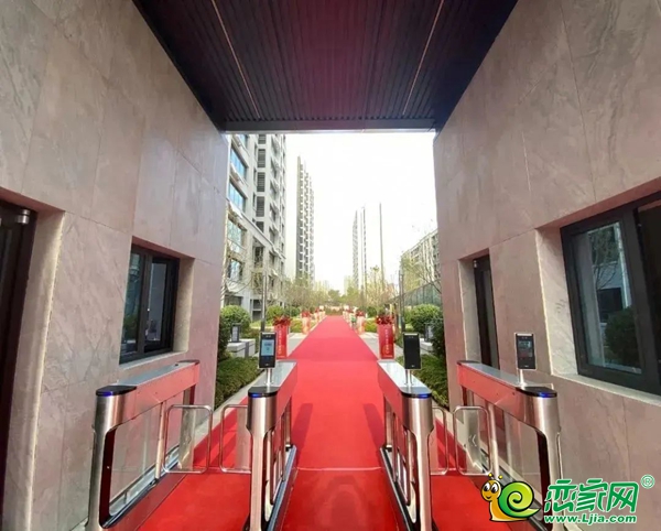 澤信?云樾天著|工地開放日導(dǎo)游式服務(wù)“卷”起來