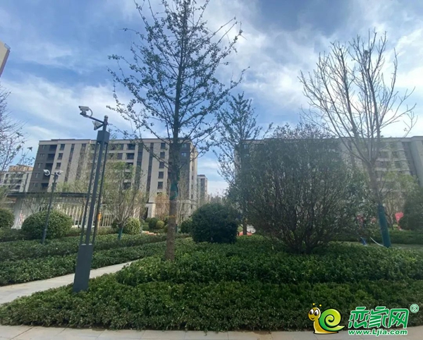 澤信?云樾天著|工地開放日導(dǎo)游式服務(wù)“卷”起來