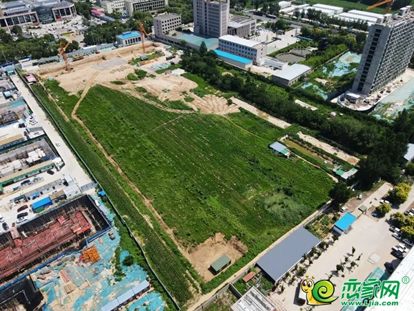 【樓盤進(jìn)度】2023年7月：館陶樓盤進(jìn)度（下）