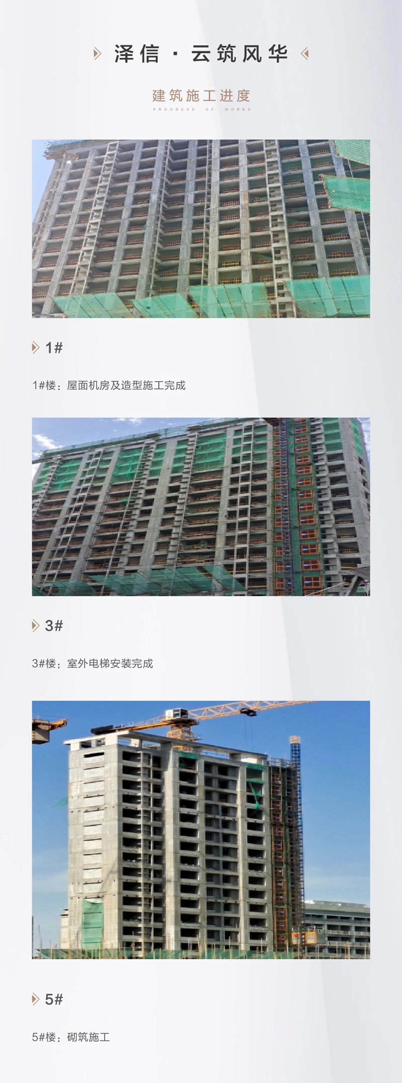邯鄲澤信云筑風(fēng)華7月家書 | 夏意正濃 敬呈美好家境