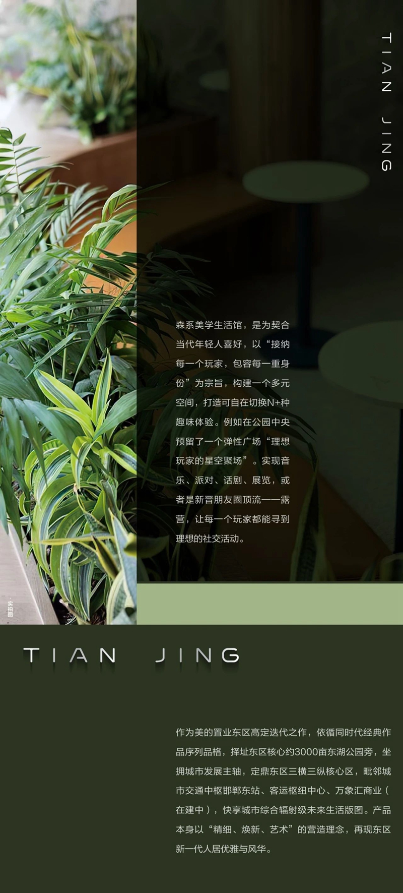 為超越而來 更好的東部美的城