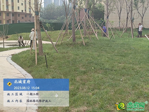 邯鄲鼎峰北城首府家書 |匠心不負(fù)久候 時光鑄就美好