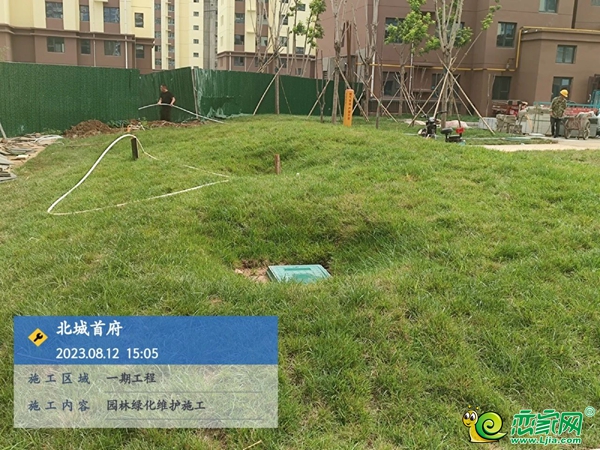 邯鄲鼎峰北城首府家書 |匠心不負(fù)久候 時光鑄就美好