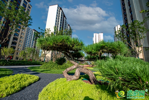 圓滿交付！邯鄲碧桂園·翡翠郡二期804戶業(yè)主幸福歸家