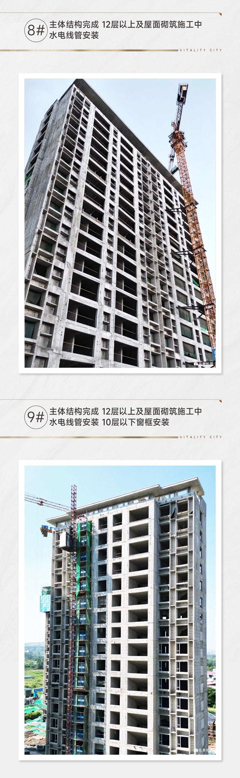 邯鄲匯寶康城8月家書(shū) | 歲月煥新顏，家音如期至