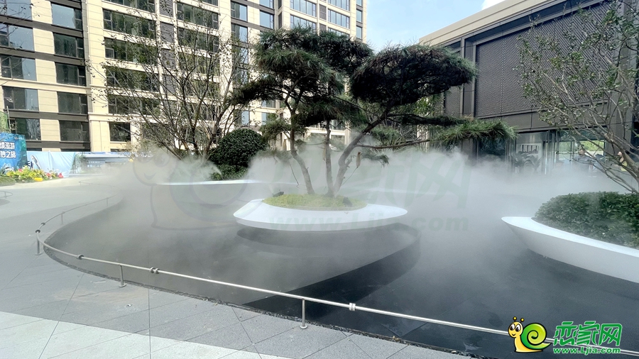 示范區(qū)實(shí)景