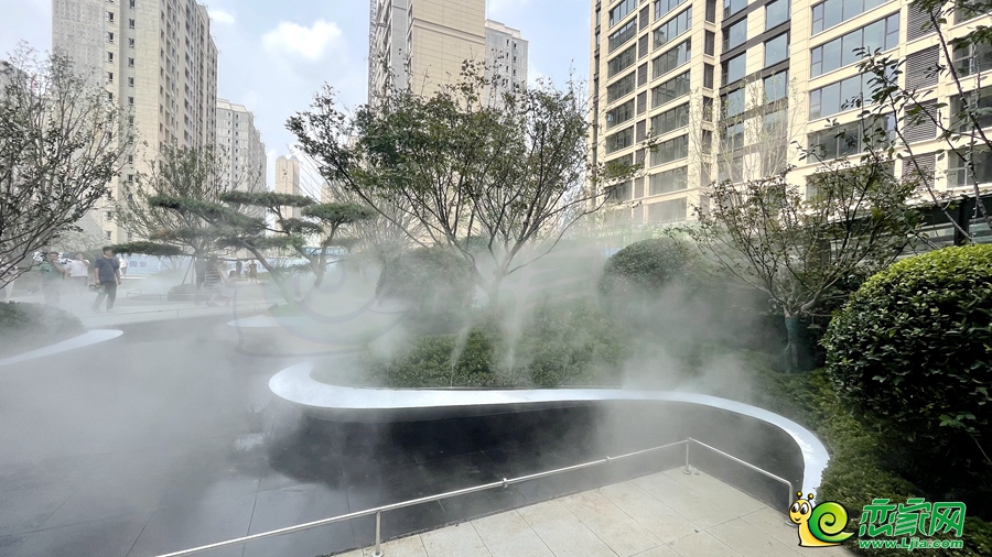 示范區(qū)實(shí)景