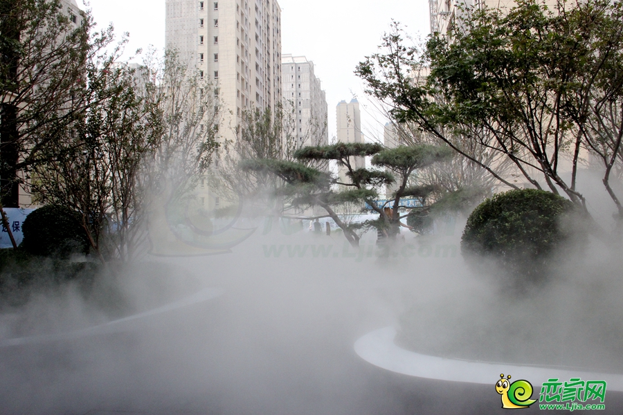 示范區(qū)實(shí)景