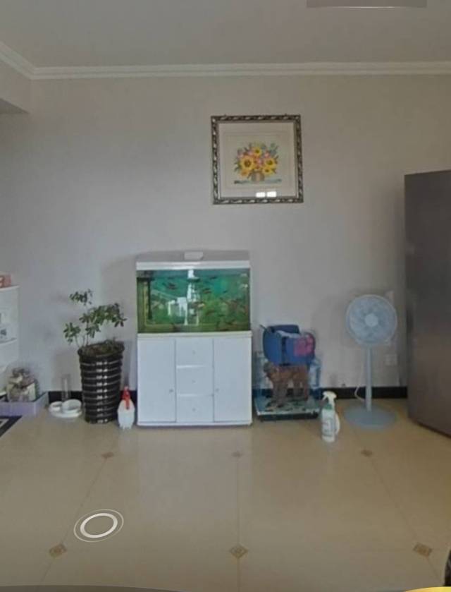 老證市實驗小學(xué)25中，