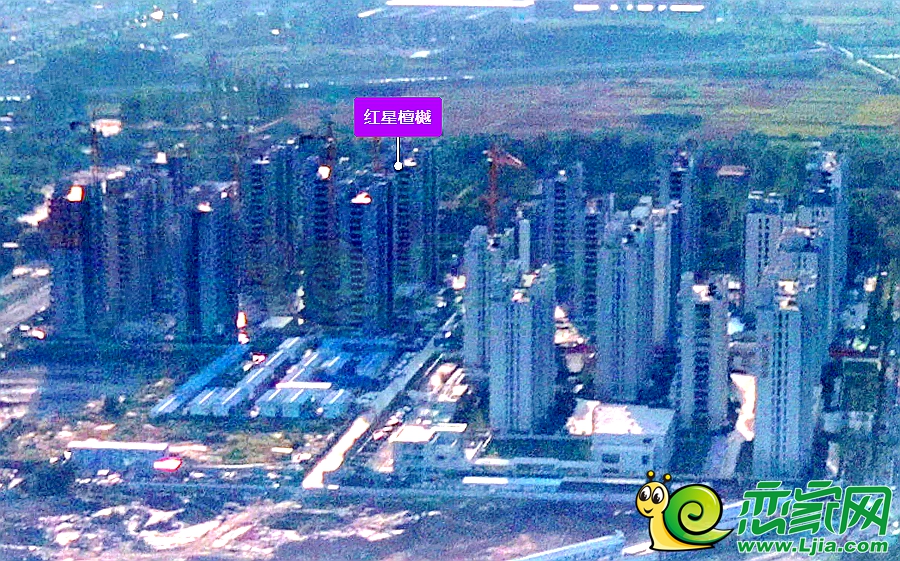 紅星檀樾實景（2023.09.22）
