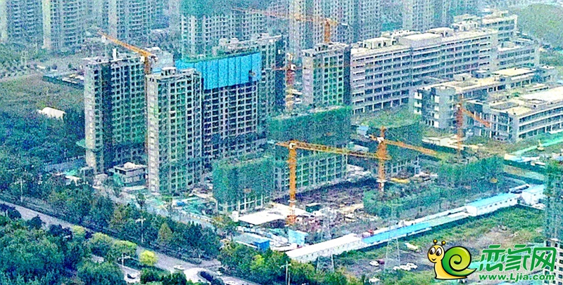 實(shí)景圖