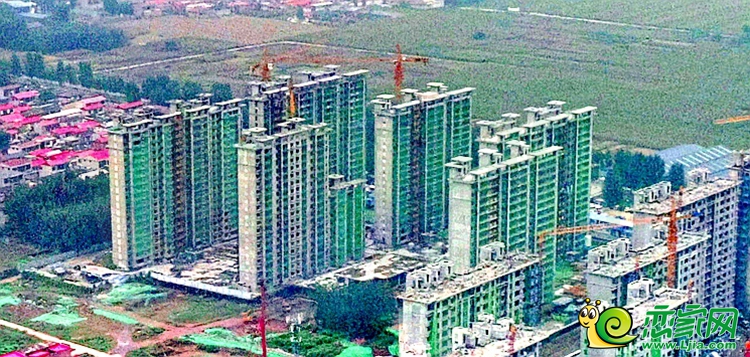 實(shí)景圖