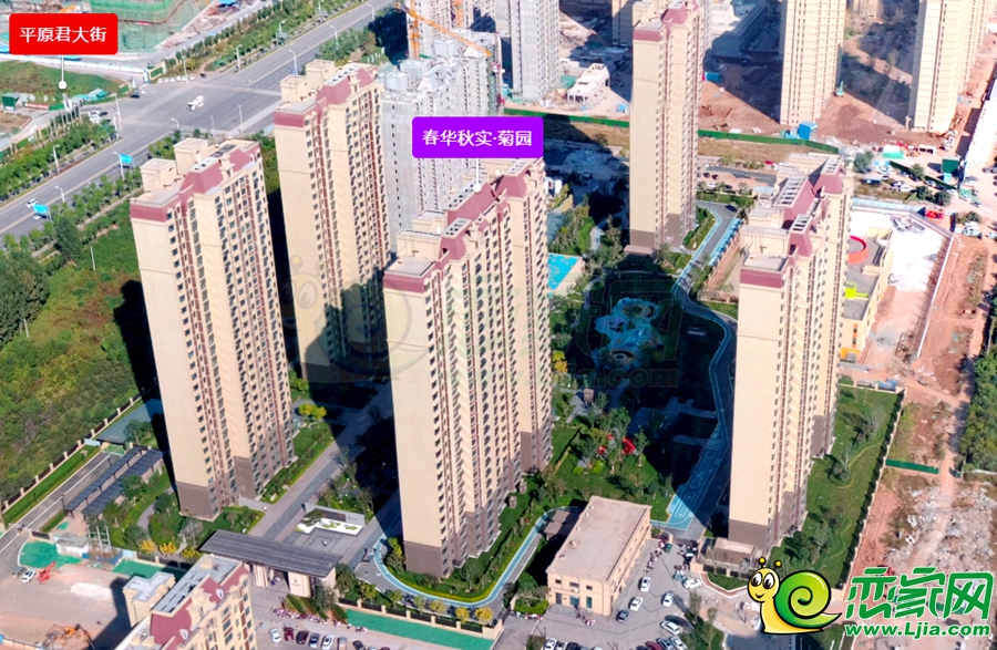 春華秋實(shí)菊園實(shí)景（2023.10.9）