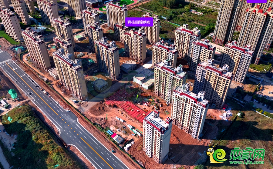 實(shí)景圖
