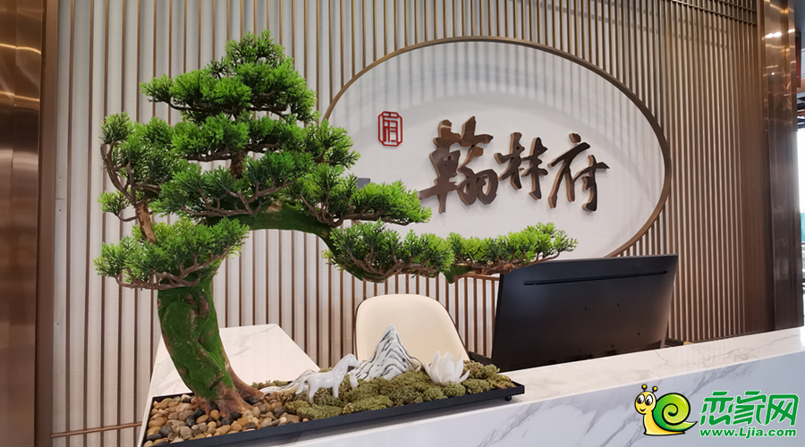 實(shí)景圖