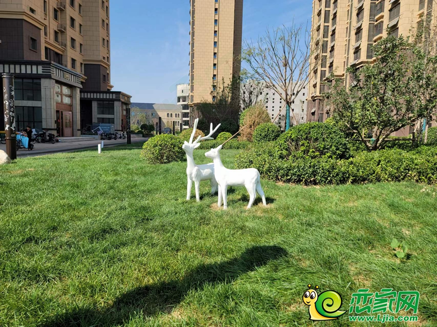 實(shí)景圖