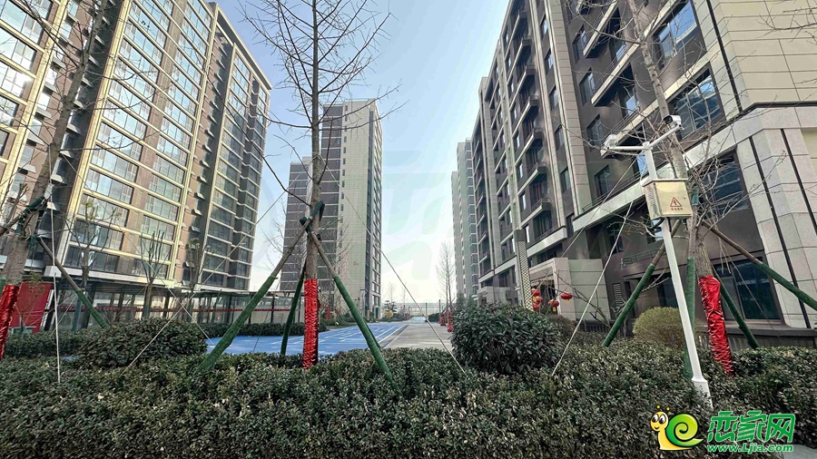 嘉洲·錦悅府實景（2023.11.20）