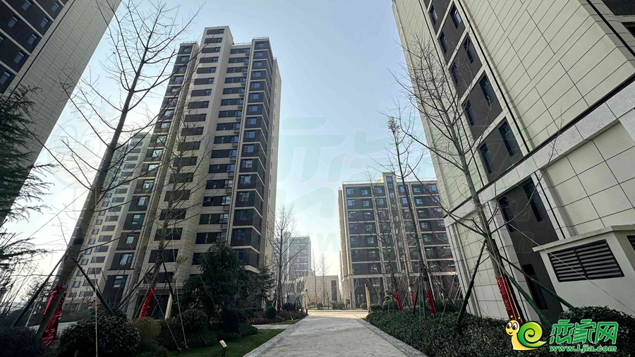 嘉洲·錦悅府實景（2023.11.20）