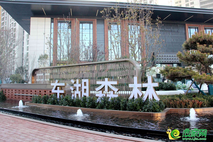 東湖森林開(kāi)放實(shí)景（2023.12.01）