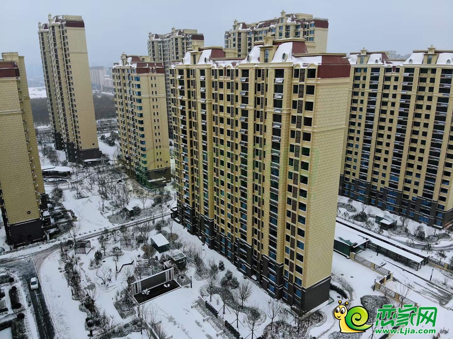 春華秋實(shí)實(shí)景（2023.12.11）