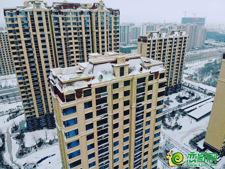 春華秋實(shí)實(shí)景（2023.12.11）