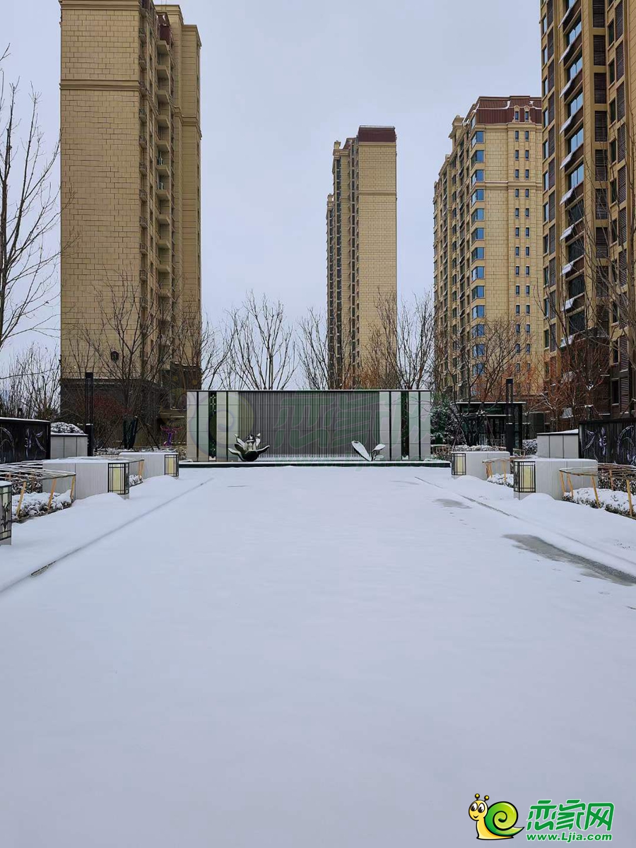 春華秋實(shí)實(shí)景（2023.12.11）