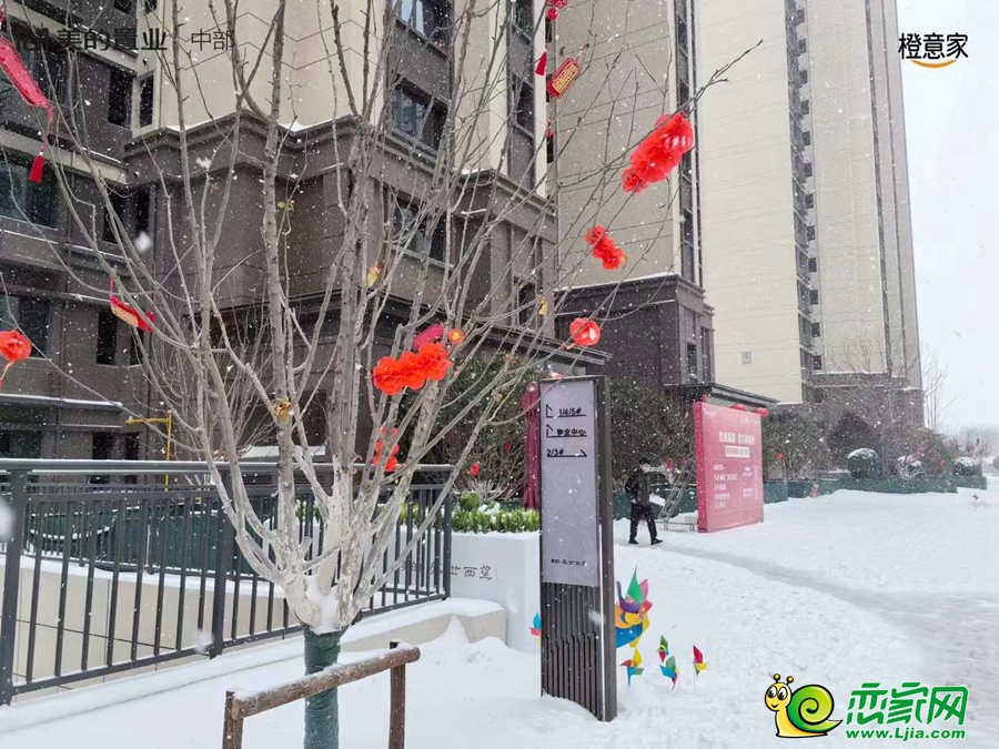 實景圖