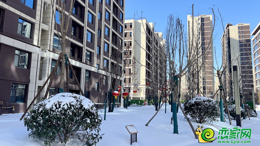嘉洲·錦悅府實景（2023.12.16）