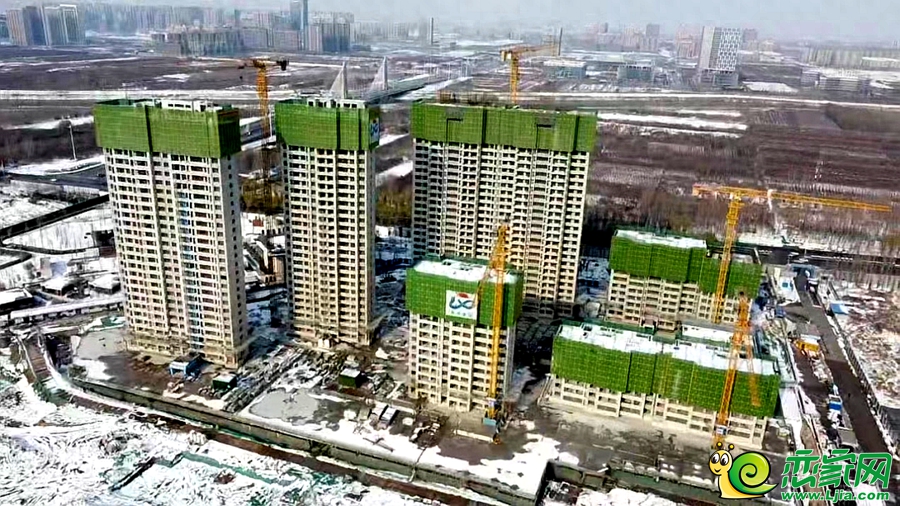 東湖森林實(shí)景圖（2023.12.16）