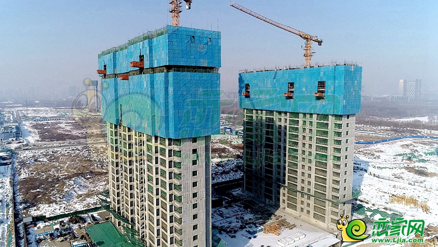 東湖森林實(shí)景圖（2023.12.25）