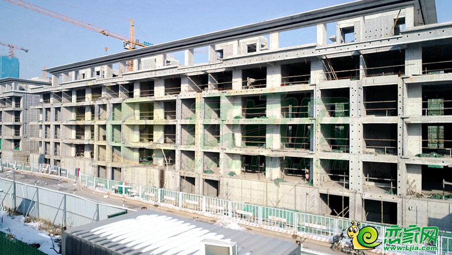 東湖森林實(shí)景圖（2023.12.25）