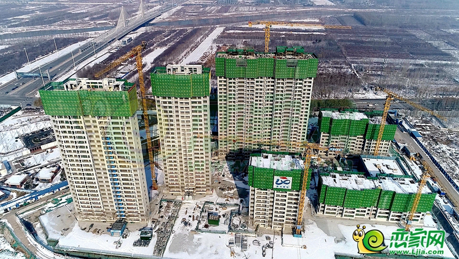 東湖森林實(shí)景圖（2023.12.25）