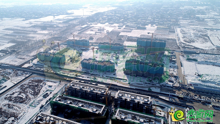 東湖森林實(shí)景圖（2023.12.25）