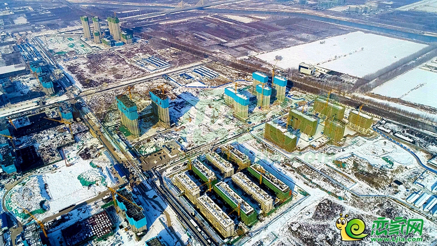 東湖森林實(shí)景圖（2023.12.25）