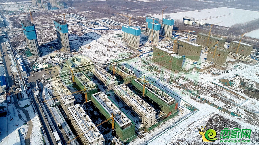 東湖森林實(shí)景圖（2023.12.25）