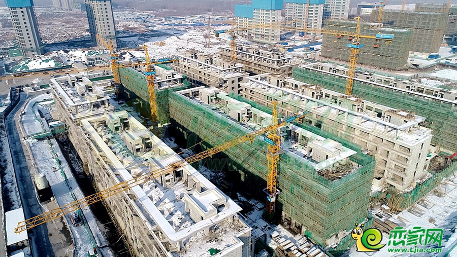 東湖森林實(shí)景圖（2023.12.25）