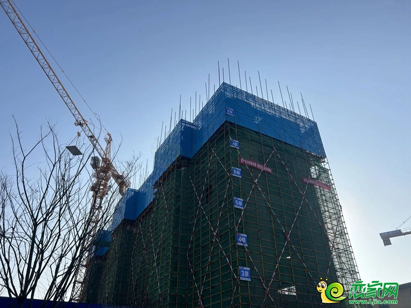 紅星美凱龍?zhí)飙t1#實(shí)景圖（2024.01.06）