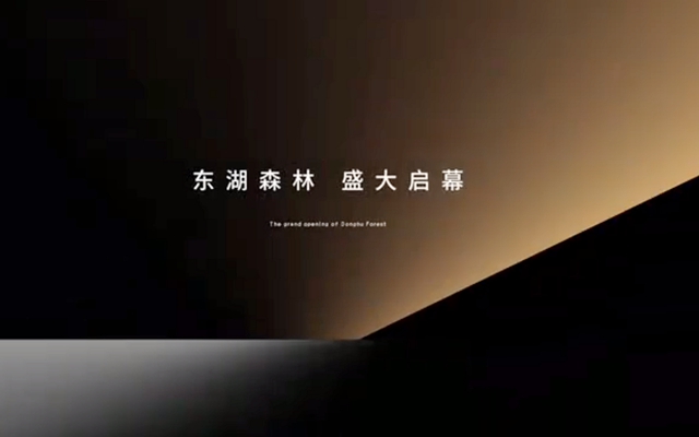 國(guó)央聯(lián)袂 實(shí)力巨作|東湖森林即將開(kāi)盤