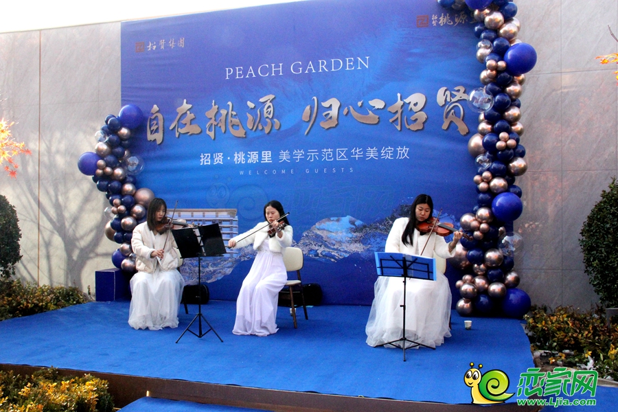 招賢桃源里示范區(qū)開放活動
