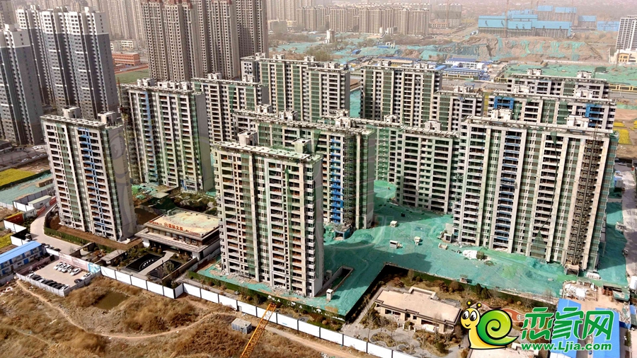 實景圖