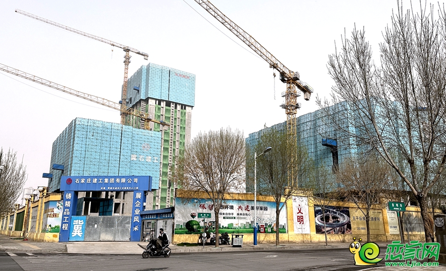 實(shí)景圖
