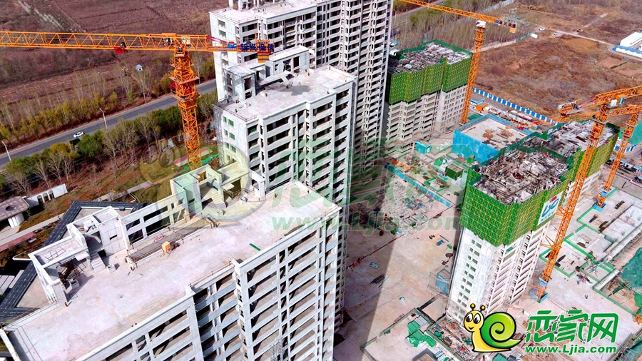 綠苑實(shí)景圖（2024.03.29）