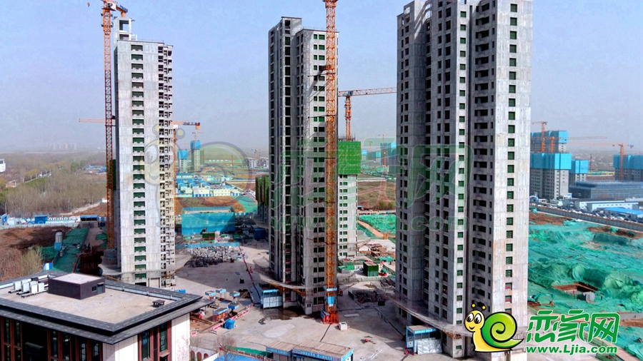 綠苑實(shí)景圖（2024.03.29）
