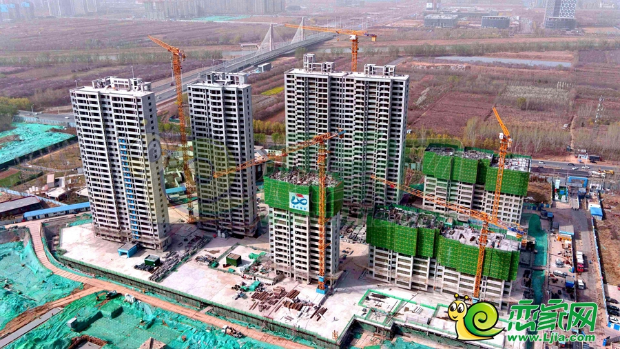 綠苑實(shí)景圖（2024.03.29）