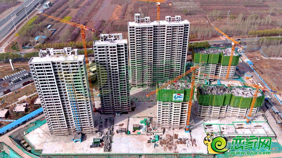 綠苑實(shí)景圖（2024.03.29）