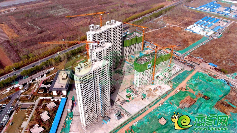 綠苑實(shí)景圖（2024.03.29）